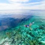 Wakatobi