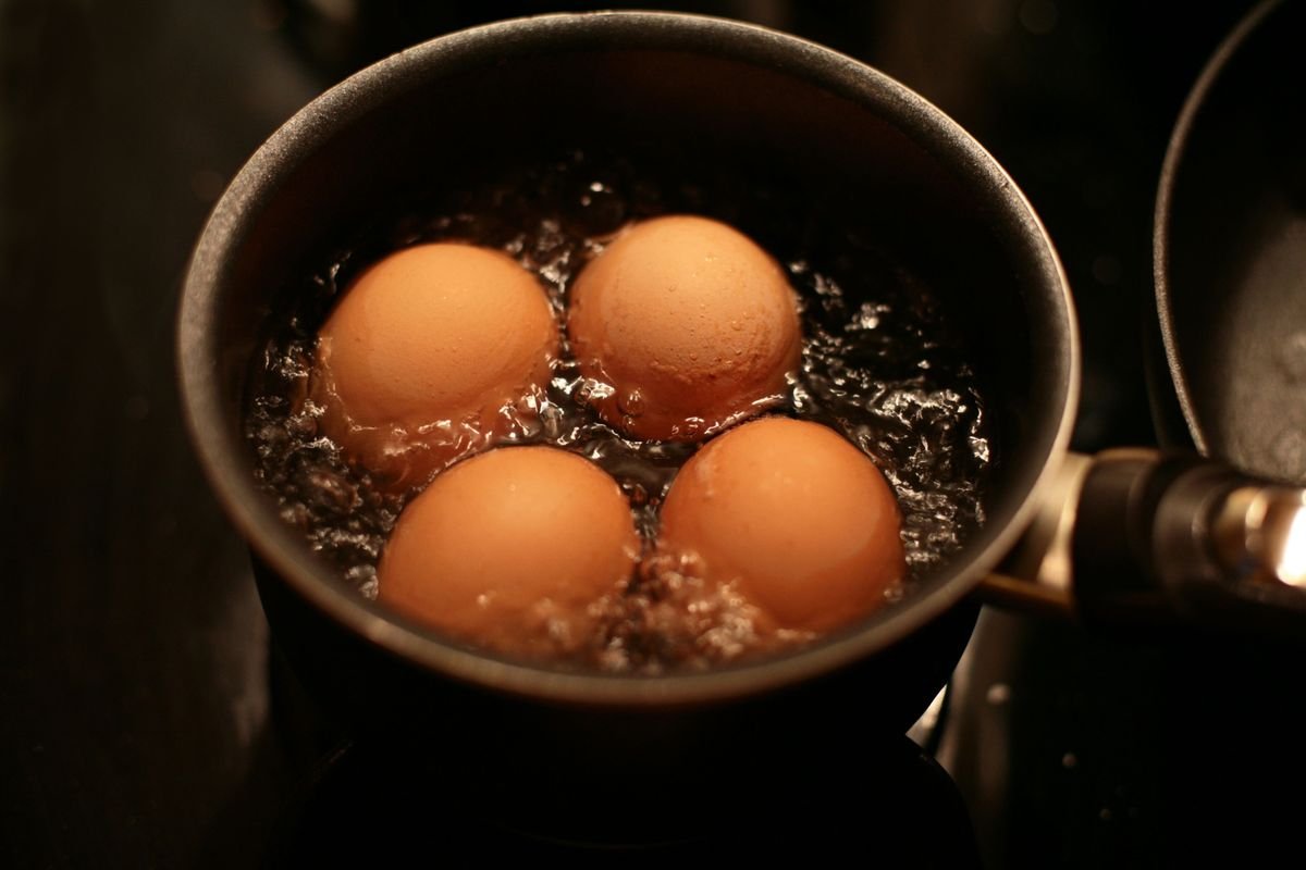 Merebus Telur
